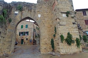 Caper plants growing on the walls of Monticchiello, a small medieval village in Tuscany.