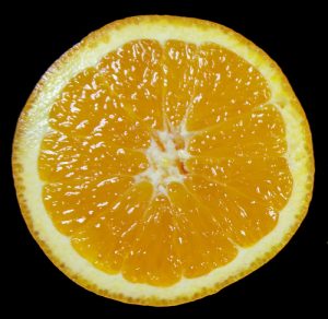 Citrus fruits are a hesperidium, a specialized type of berry with a leathery rind.