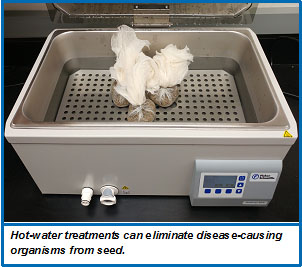 Hot-Water Seed Treatment for Disease Management