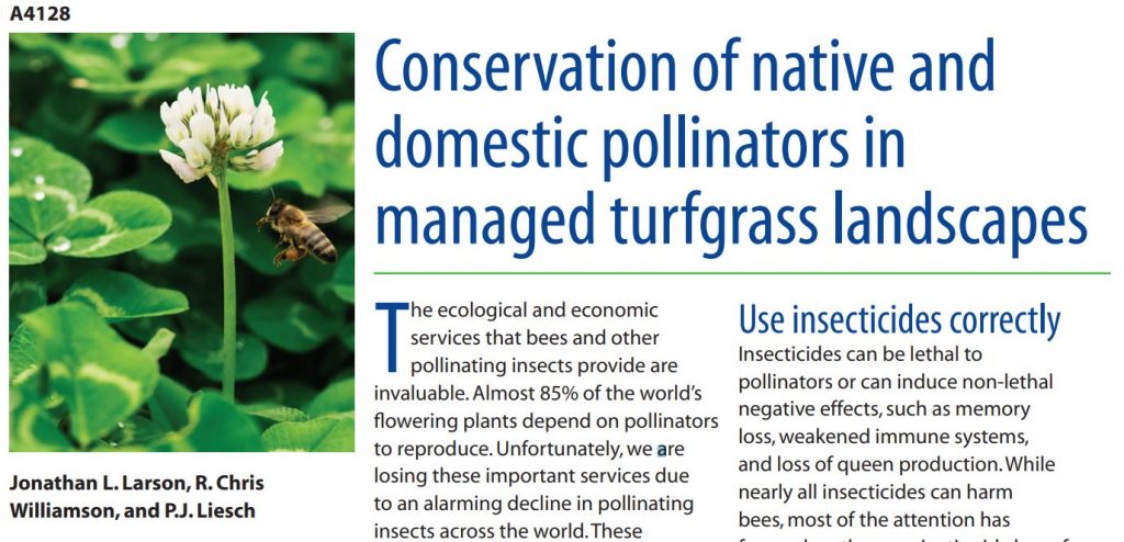 Conservation of Native and Domestic Pollinators in Managed Turfgrass Landscapes