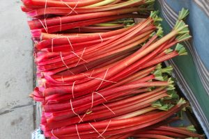 Crimson Cherry Rhubarb Care – Learn About Planting Crimson Cherry
