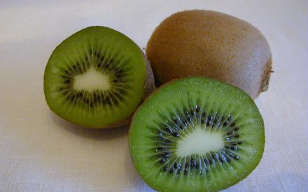Kiwifruit, <em>Actinidia</em> spp.