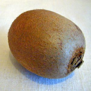 Kiwifruit - Wikipedia