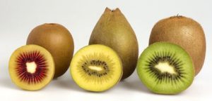 Kiwifruit, Actinidia spp. – Wisconsin Horticulture