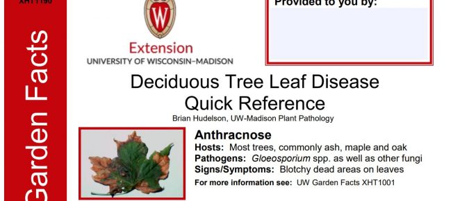 Deciduous Tree Leaf Disease Quick Reference