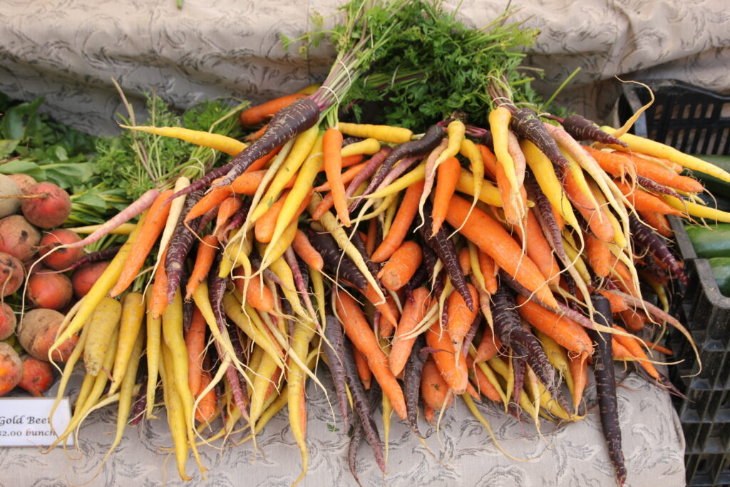 Growing Carrots, Beets, Radishes, and Other Root Crops in Wisconsin