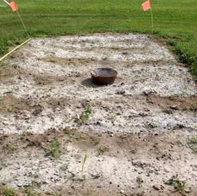 Using Wood Ash in the Home Garden