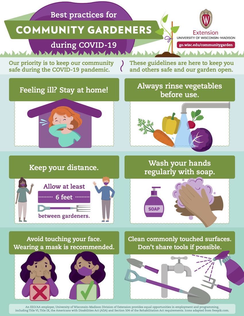 Feeling ill? Stay home! Always rinse vegetables before use. Keep you distance. Allow at least 6 feet between gardeners. Wash your hands regularly with soap. Avoid touching our face. Wearing a mask is recommended. Clean commonly touched surfaces. Don't share tools if possible.