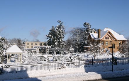 Allen Centennial Gardens in Winter