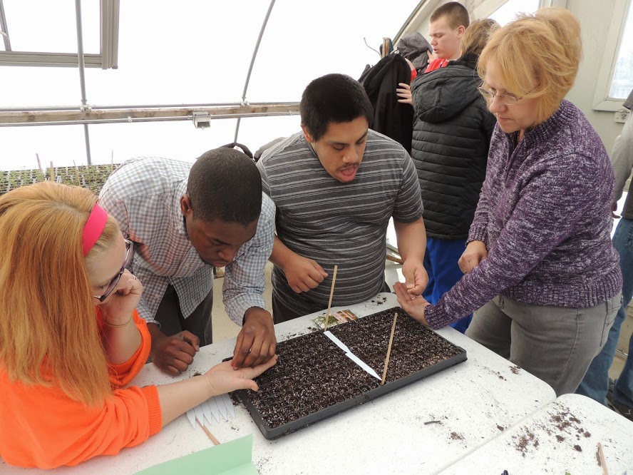 Image of people planting seeds.