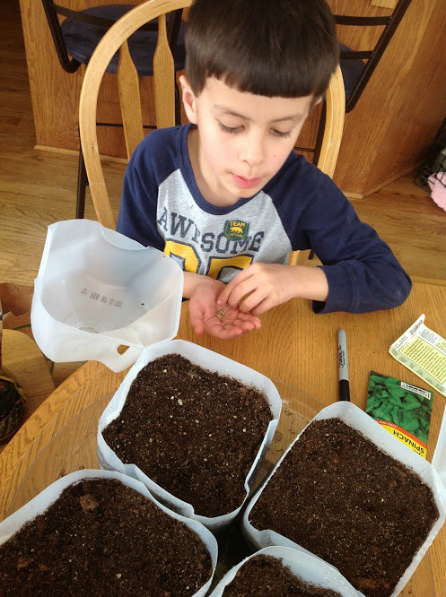 image of youth planting seeds