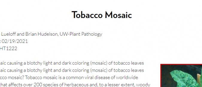 Tobacco Mosaic