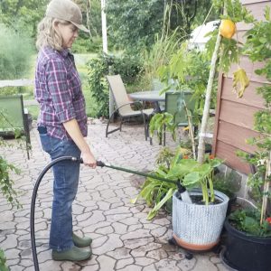image of woman watering plants
