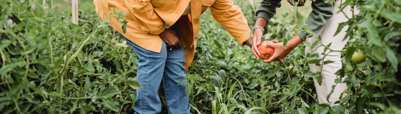 Image of two people gardening; provided by https://www.pexels.com/@zen-chung