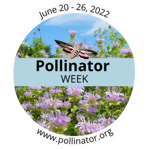 Logo For Pollinator.org Pollinator Week June 20-26, 2022