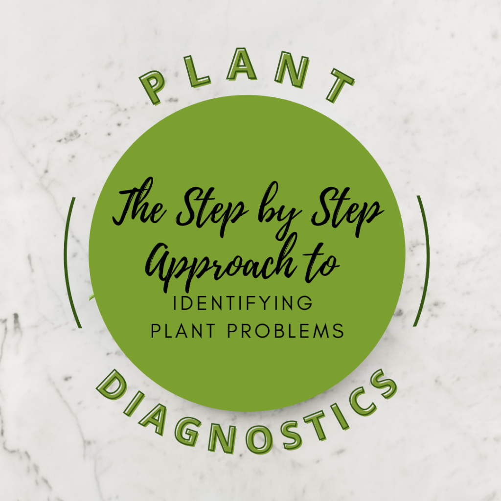 Plant Diagnostics The StepbyStep Approach to Identifying Plant