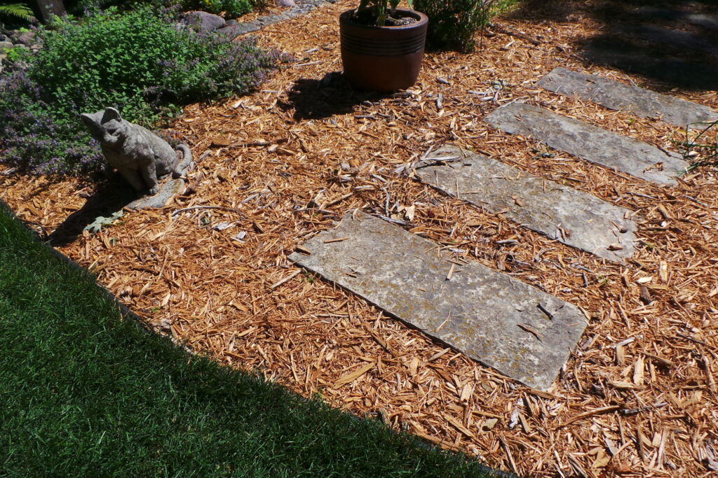 Wood Mulch and Tree Health