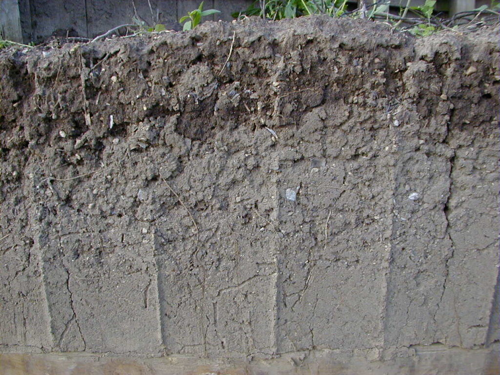 Sampling Garden Soils and Turf Areas for Testing