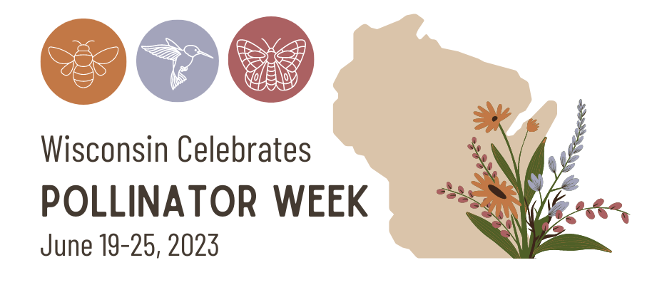 Logo for 2023 Wisconsin Celebrates Pollinator Week