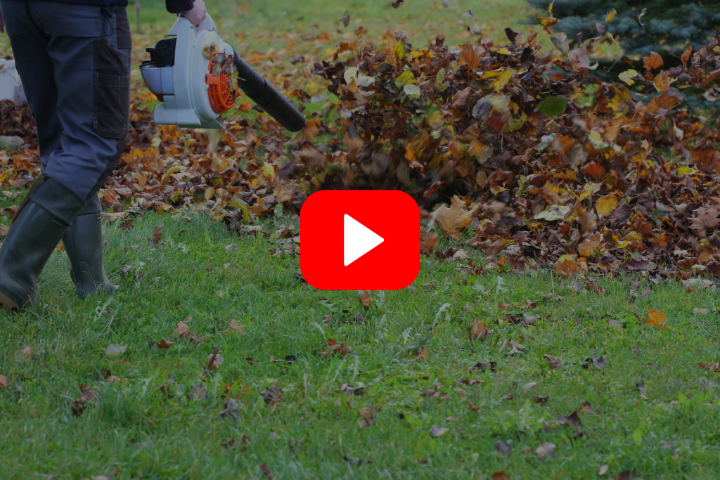 ▶ Watch: Yard and Garden Cleanup with Diseases and Insects in Mind