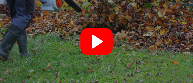 ▶ Watch: Yard and Garden Cleanup with Diseases and Insects in Mind