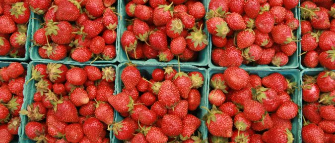 Growing Strawberries in Wisconsin