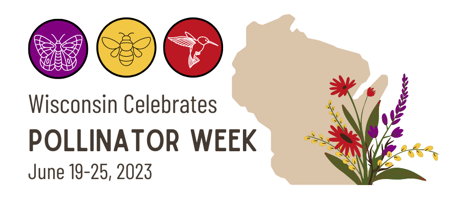 Wisconsin Celebrates Pollinator Week June 19-25, 2023