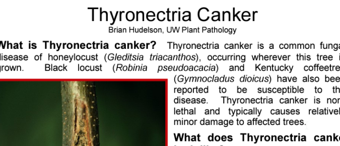 Thyronectria Canker