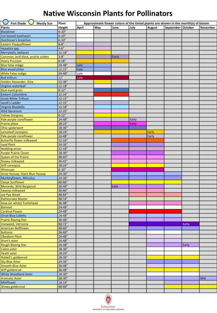 Pollinators – Wisconsin Horticulture