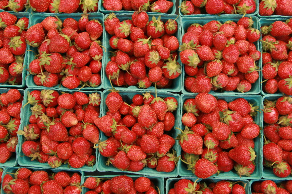 Common Leaf Spot of Strawberry