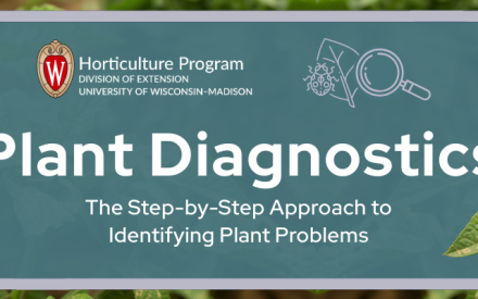 Got plant problems? Learn plant diagnostics online