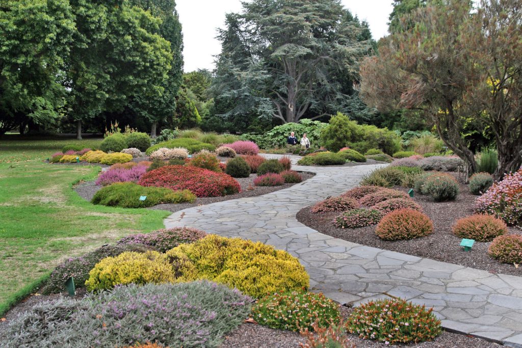 Choosing the Right Landscape Plants: Factors to Consider