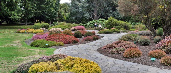 Choosing the Right Landscape Plants: Factors to Consider