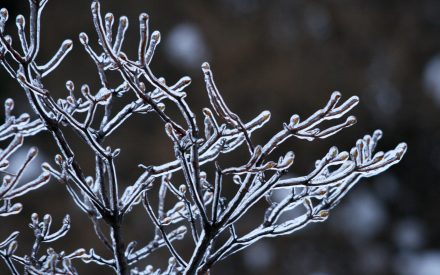 February 2026 Newsletter