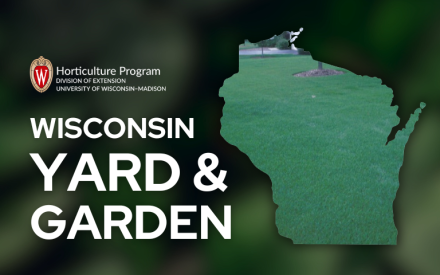Spring Lawn Fertilizing Guidelines