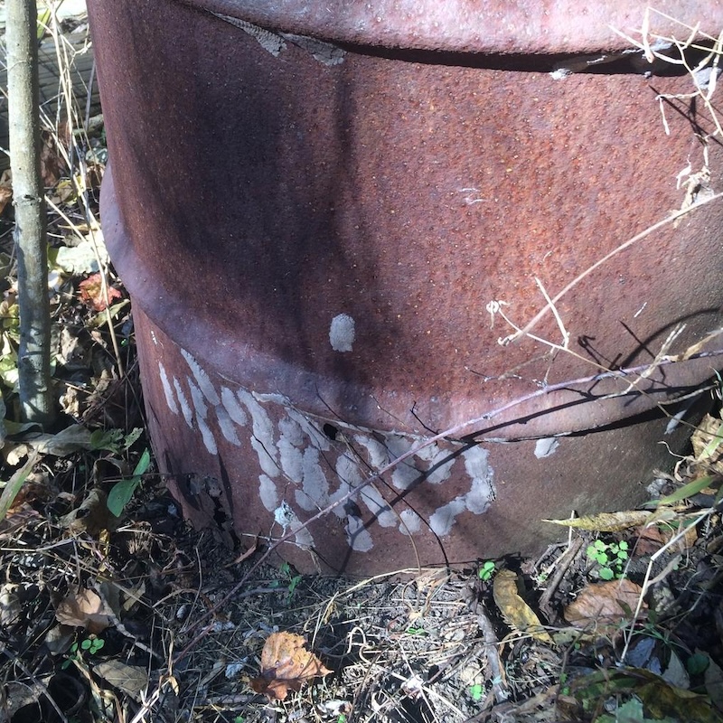 Spotted lanternfly eggs on a man-made object. Photo credit: Lawrence Barringer, Pennsylvania Department of Agriculture, Bugwood.org.