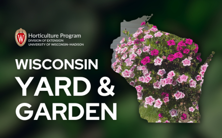 Brighten Landscapes with Annual Flowers