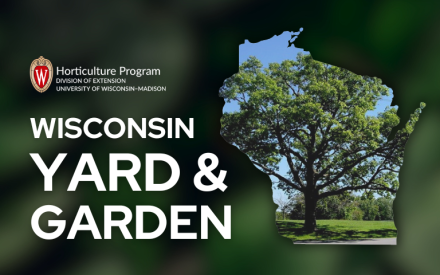 Tree Problems Often Are Preventable