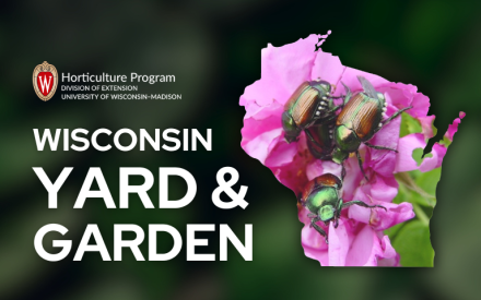 Manage Yard & Garden Problems Wisely