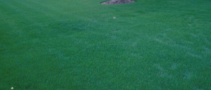 Wisconsin Lawn Care Calendar