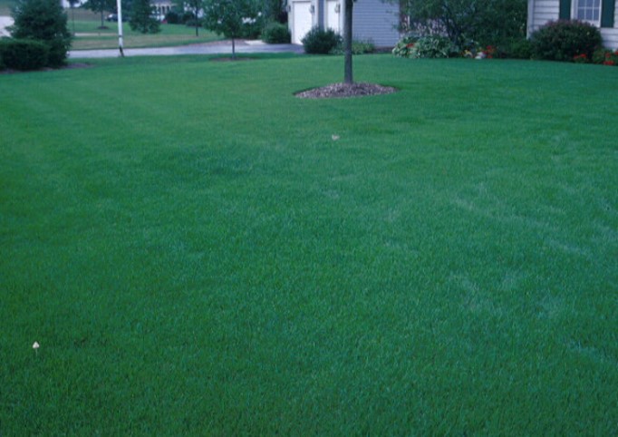 Wisconsin Lawn Care Calendar