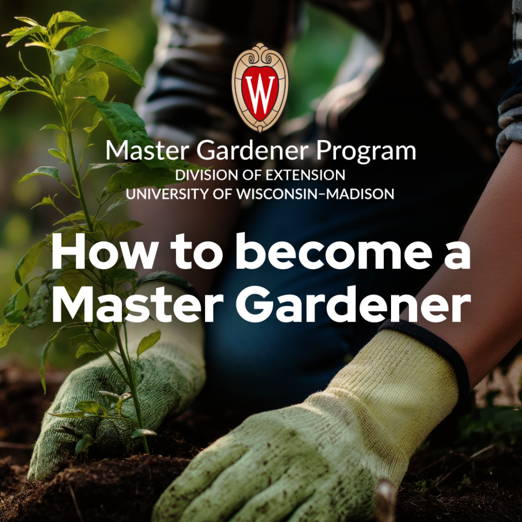 Want to be a Master Gardener in Wisconsin? Here’s How to Get Started.