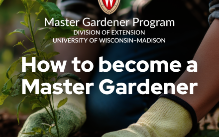 Want to be a Master Gardener in Wisconsin? Here’s How to Get Started.