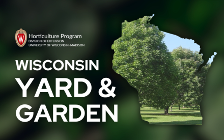 Midseason Plant Care Adjustments
