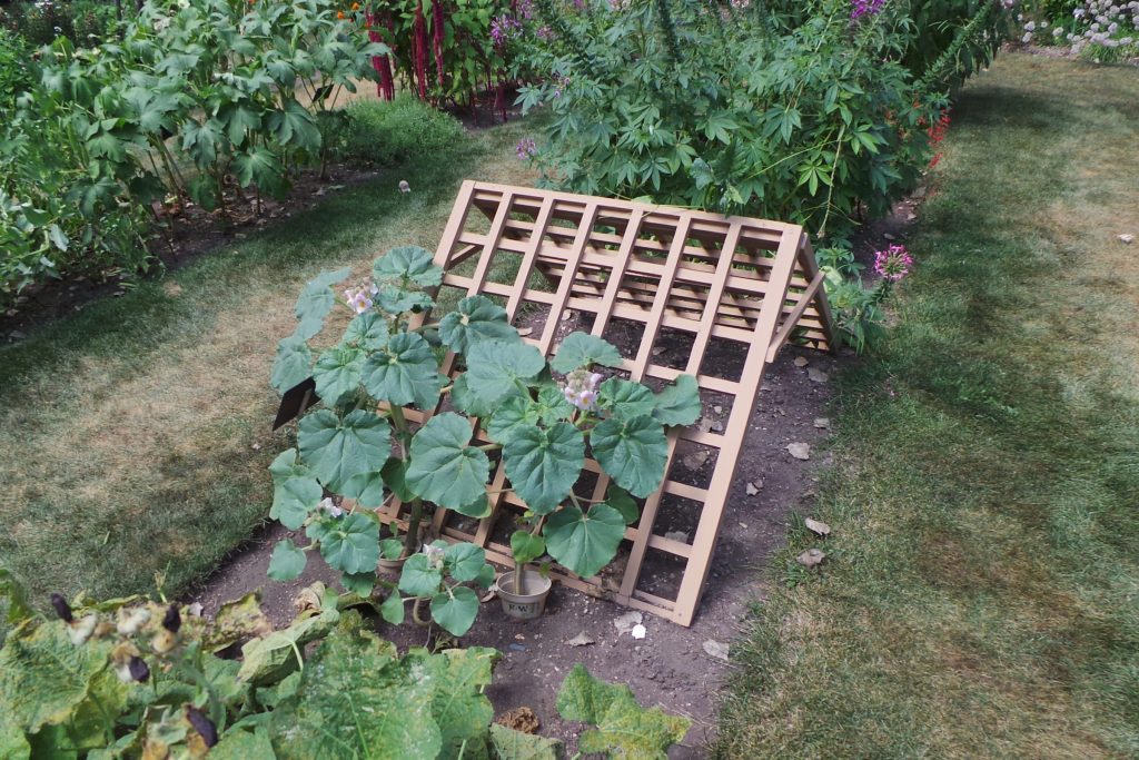 Trellising, Staking and Caging – Vertical Gardening Techniques for Vine-Type Vegetables