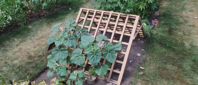 Trellising, Staking and Caging – Vertical Gardening Techniques for Vine-Type Vegetables
