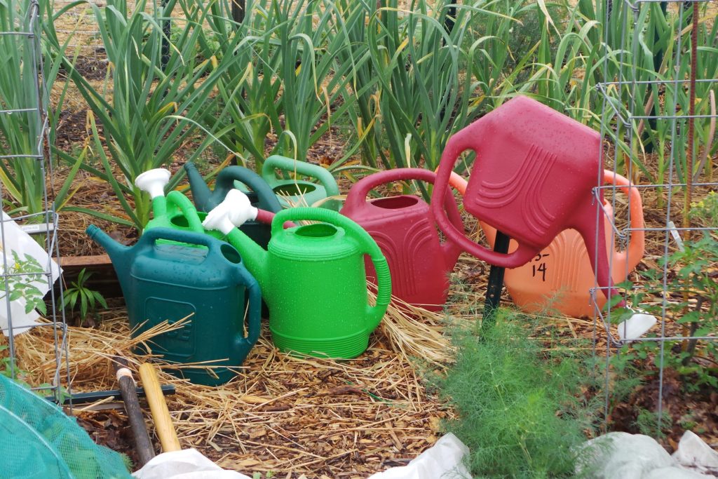 Gardening for Weather Extremes in Wisconsin: Extreme heat and drought