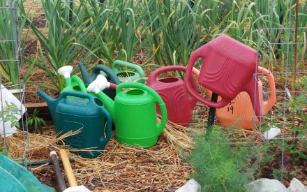 A pile of empty watering cans in a vegetable garden