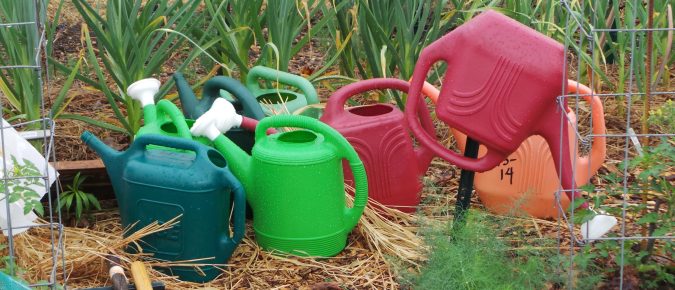 Gardening for Weather Extremes in Wisconsin: Extreme heat and drought