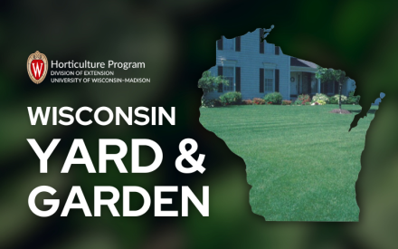 Ideal Timing for Fertilizing Lawns